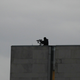 Illustration for article titled Crowd Feeling Kind Of Silly Now After Spending All That Time Pleading Rooftop Sniper Not To Jump